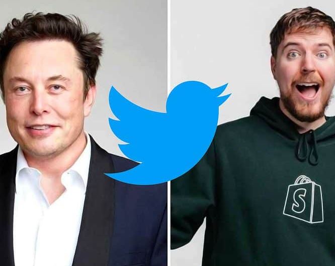 mr beast and ceo of twitter elon musk